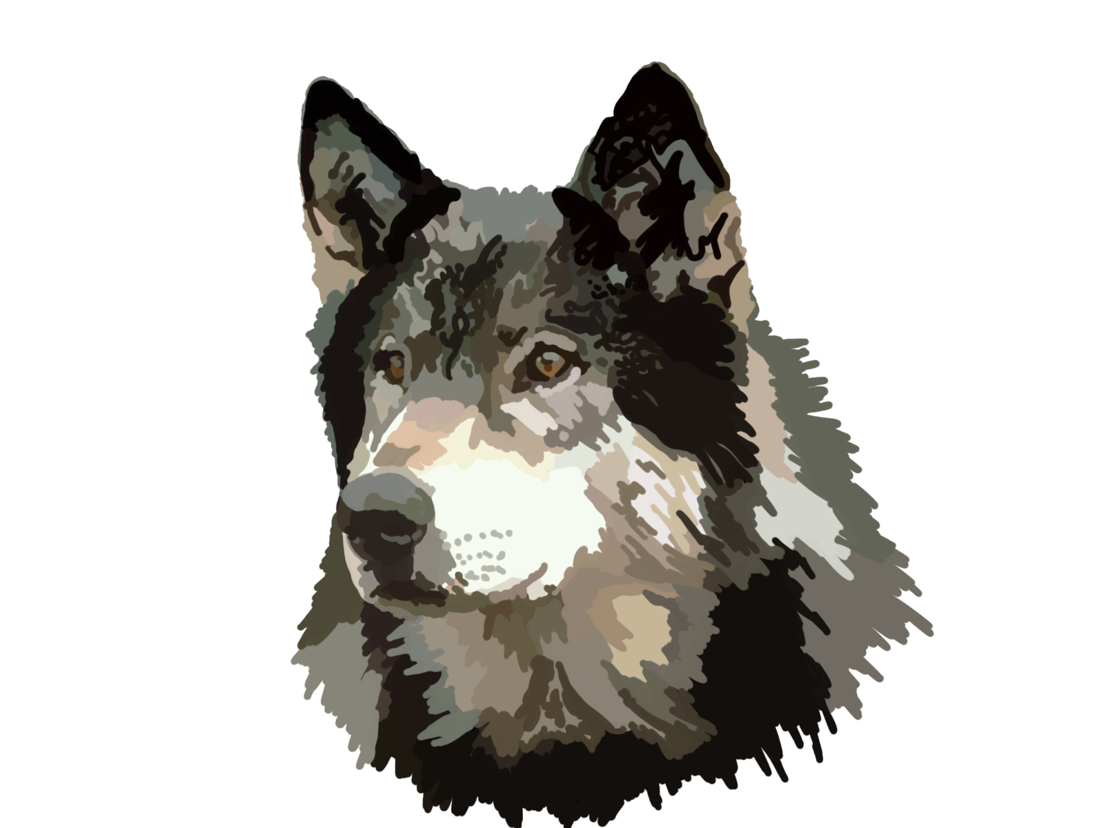 Wolfie animal animal art illustration wolf wolf logo