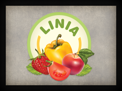 Linia branding logo logo design qchar design