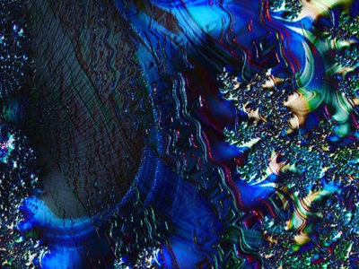 Fractal Garden