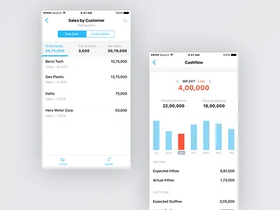 Reports on mobile cashflow fintech graphs mobile app reports ui ux