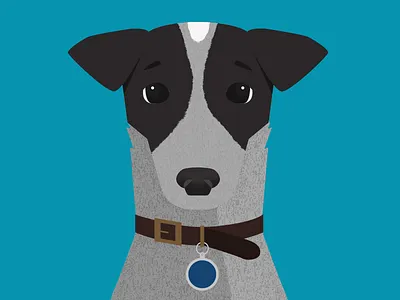 Buck adobe adoption animal animal art animal character animals blue heeler dachshund dawg dog flat minimal porttrait rescue vector