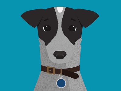 Buck adobe adoption animal animal art animal character animals blue heeler dachshund dawg dog flat minimal porttrait rescue vector