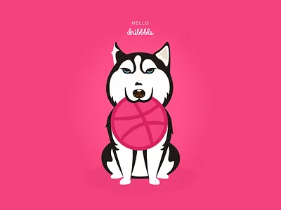 Hello dribbble ! hello dribbble