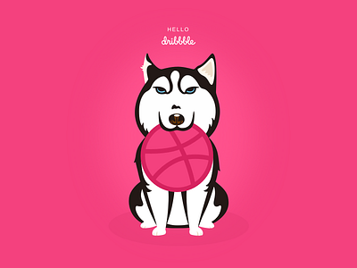 Hello dribbble ! hello dribbble