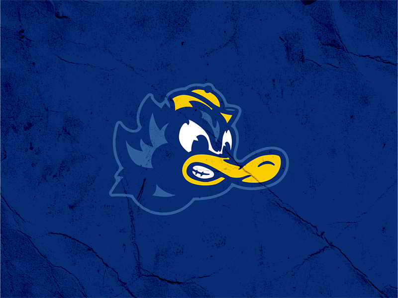 Gettin Ducky! concept duck mascot quack