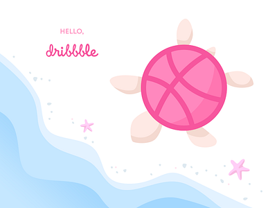 Hello Dribbble! beach debut debut shot dribbble hello hello dribbble sea tortoise turtle