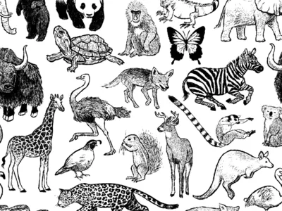 A-Z Menagerie animals black and white drawing exotic illustration menagerie nature pattern repeat repeat pattern surface pattern design textile design wildlife zoo