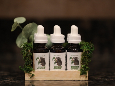 Koala Bear CBD Packaging Label branding creative design graphic design graphic art illustration logo marketing packaging print