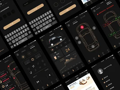 Visual exploration for Car-net App