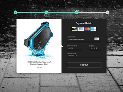 Credit Card Checkout dailyui designchallenge ui uidesign