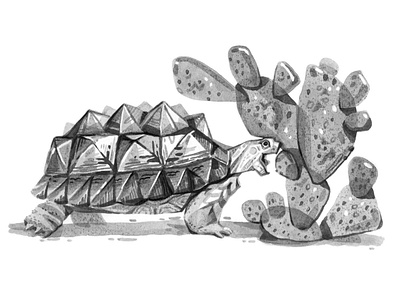 Angular angular animals cactus eat illustration ink turtle