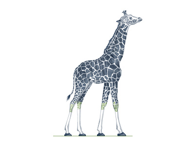 Baby Giraffe 2d africa animal character company design flat giraffe illustration vector wild