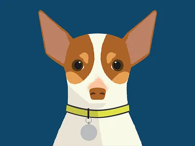 Dobbs adobe animal animals chihuahua dawg dog dog illustration flat flat 3d freelance happy illustration illustrator illustrator cc minimal vector