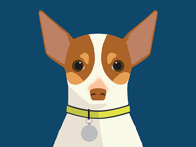 Dobbs adobe animal animals chihuahua dawg dog dog illustration flat flat 3d freelance happy illustration illustrator illustrator cc minimal vector