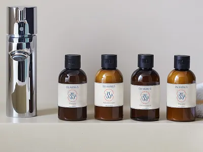 Shampoos bathroom brand branding branding agency design design art elegant goodies logo logomark logotype mexico shampoo sophisticated