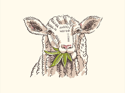 Sheep Weed animal beautiful cannabis color design eat graphic art illustration leaf nature typography vector vector art vintage
