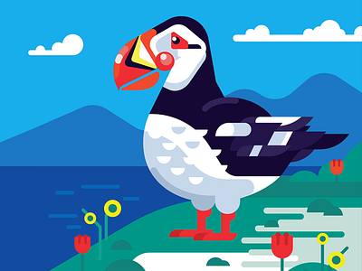 Puffin animal bird illustration ocean puffin vector