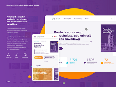 Antal carrer design hr ui ux