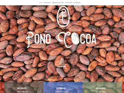Non-For Profit Pono Cocoa Web Site adobe blogging brand and identity branding content creation copywriting creative design design digital marketing icon identity design illustrator illustrator cc logo photoshop product branding product design typography web design wix