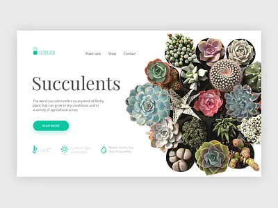 Succulent plants design ui web