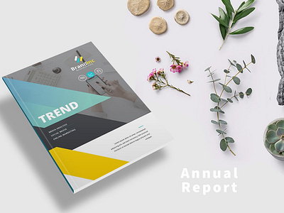 Annual Report branding brochure business catalog catalogue clean clothing design editorial elegant fashion feminine indesign lookbook magazine modern portfolio proposal studio template