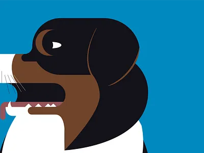 Ozzie Shepherd australian australian shepherd dag design dog flat graphic graphic design illustration illustrator shepherd vector