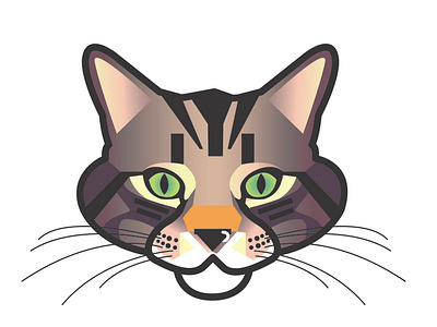 Cat illustration cat cat illustration character character design design digital illustration gradient kitten nose ring piercing