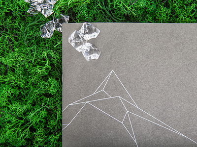 Creation of brand identity and communication tools brandidentity branding brochure brochure design brochure mockup design graphic design logo printdesign stationery visual identity visualdesign