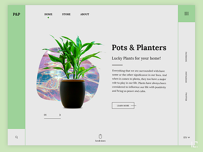 Pots and plants shop design ui ux web