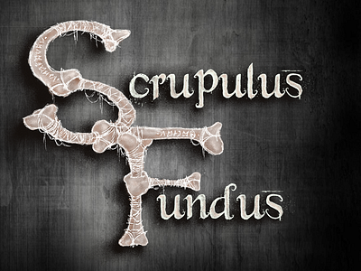 Scrupulus Fundus02 design handdraw illustration nancsa taledraw wacom