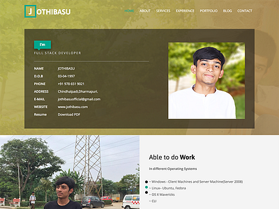 Portfolio Design branding design website