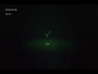 Asiatic JWT 50 Years Celebration AV (Unfinished & Unpublished) 2d 3d after affects animation bangla cinema 4d