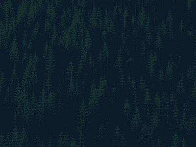 Forest forest gig poster illustration pattern pine pine trees poster texture trees