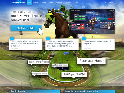 Digiturf Homepage design ui