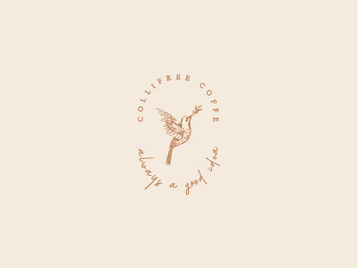 Collifree Coffee beauty beauty logo beauty product brand branding coffee design icon identity illustration lettering logo minimal minimalism modern pastel pastel color simple typography ui