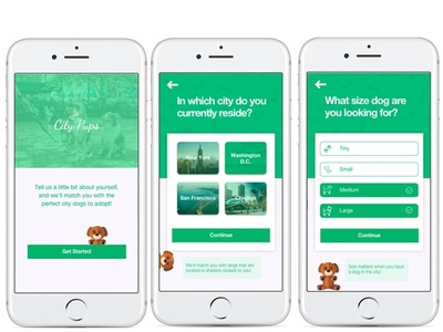 CityPups design discover ui