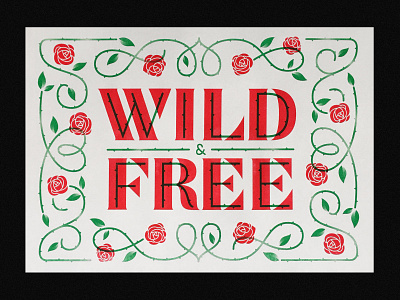 Wild & Free illustration lettering type typography