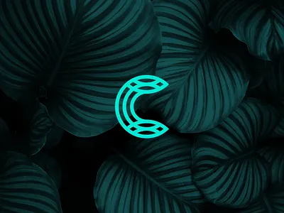 Calipso Logo animation design illustration logo typography