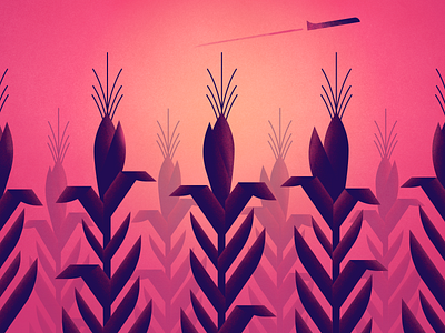 Corn airplane backlit corn illustration pink sunset