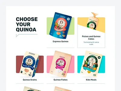 Company products design goldweb product catalog ui ux vector web