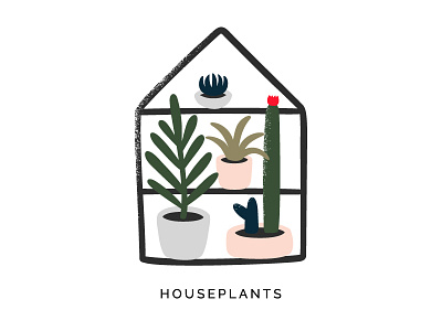 Houseplants illustration botanic cacti cactus flowers home houseplants illustration plants succulent textured