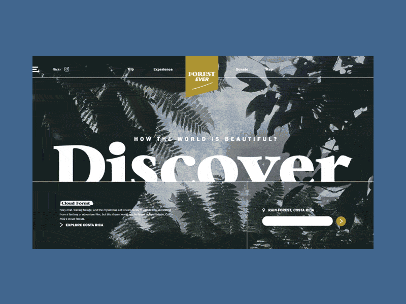 Day 5 - UI Search Transition backpacker design digital map travel trip typography ui ux web world