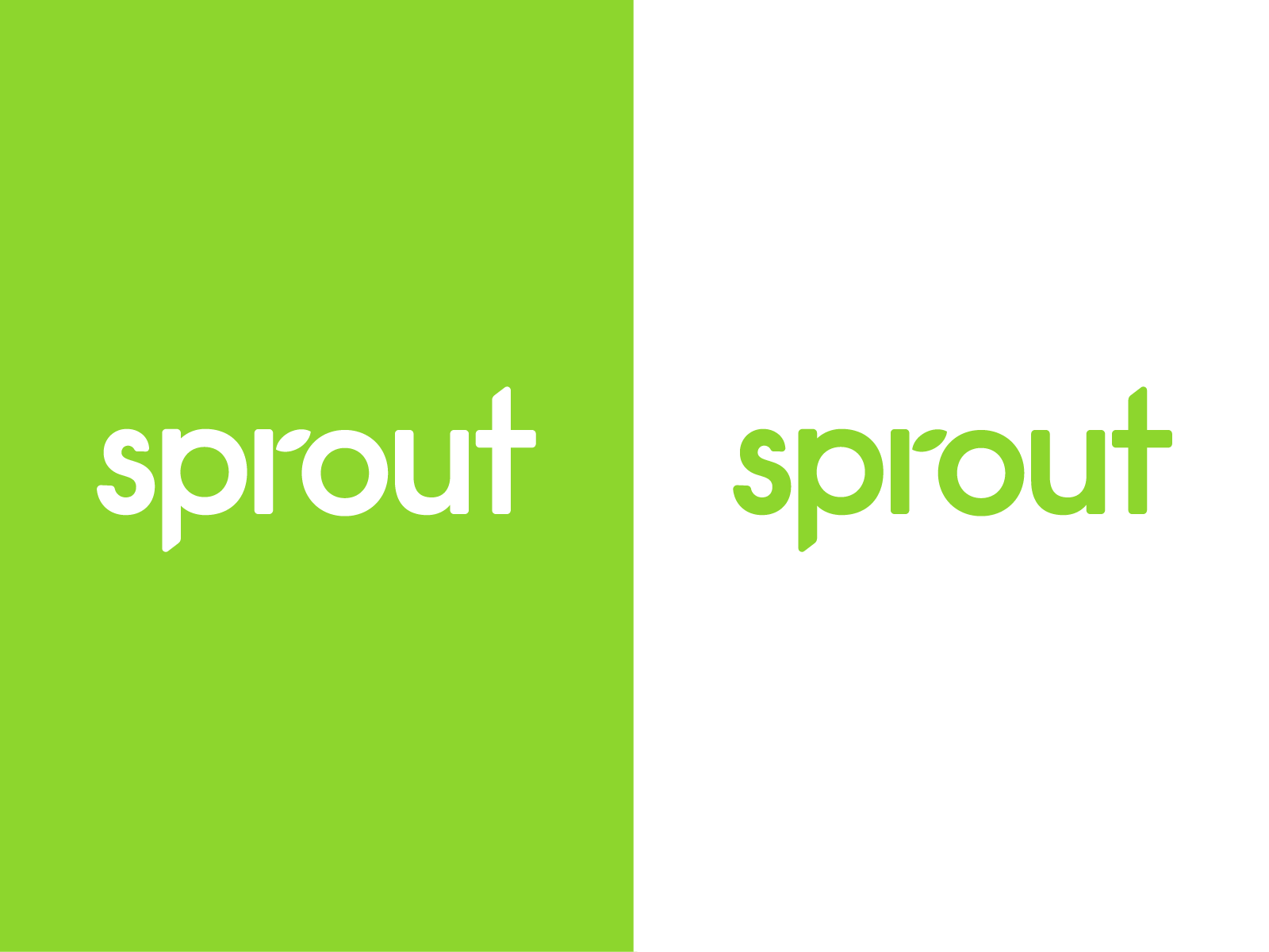 Example of Sprout 🌱