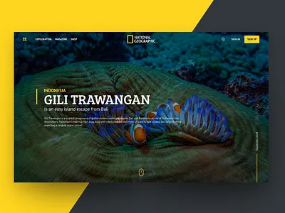 Ng Redesign Concept 3 layout magazine national geographic typography ui website