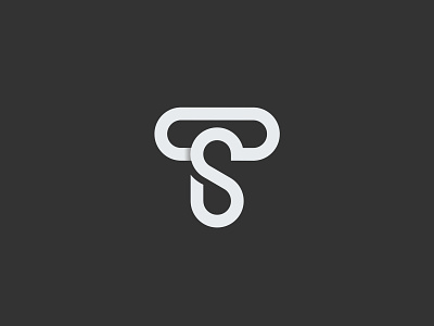 Ts branding flat icon illustration logo monogram typography