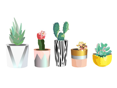 Succulent Bois animation design gradient graphic art greenery illustration pattern still life succulents