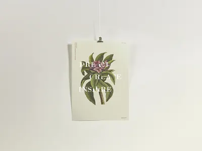 Dream Create Inspire create design dream big flower green hidden typography inspire nature typography typography design