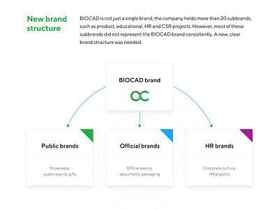 Brand structure for BIOCAD chart diagram flow infographic scheme structure system