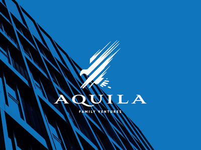 Example of Logo   Brandmark Design