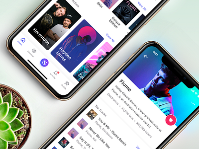 Artist Page 📱 app artist design flume ios iphone x iphone xs music playlist ui ux